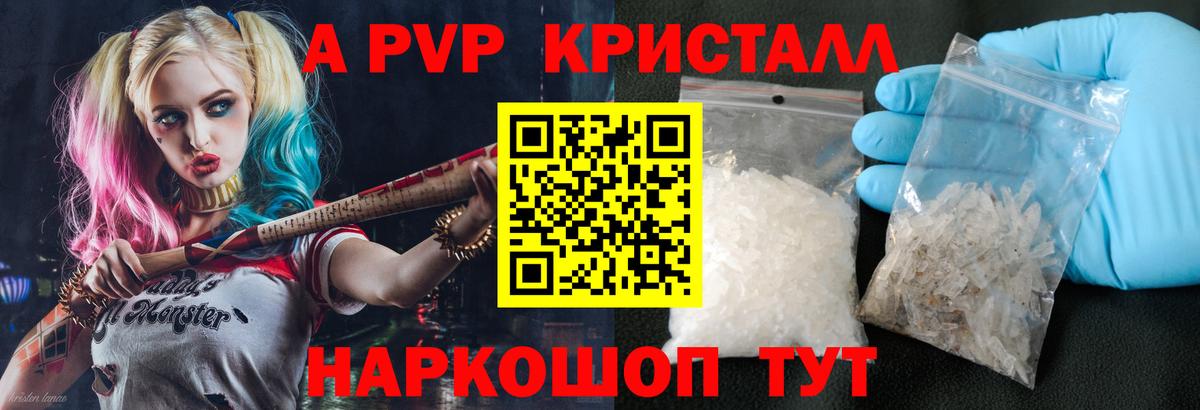 A-PVP СК КРИС Кизилюрт