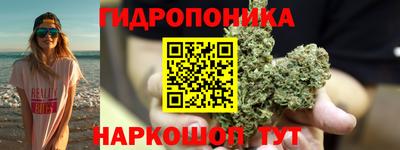 дживик Кунгур