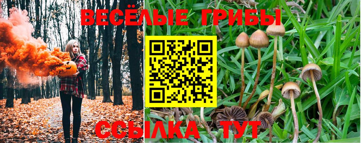 Кизилюрт  закладки  Псилоцибиновые грибы Cubensis  Вход с VPN  Галлюциногенные грибы GOLDEN TEACHER 