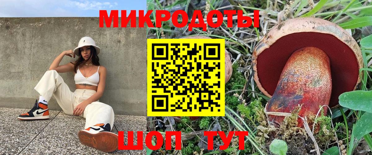 Псилоцибиновые грибы GOLDEN TEACHER Кизилюрт