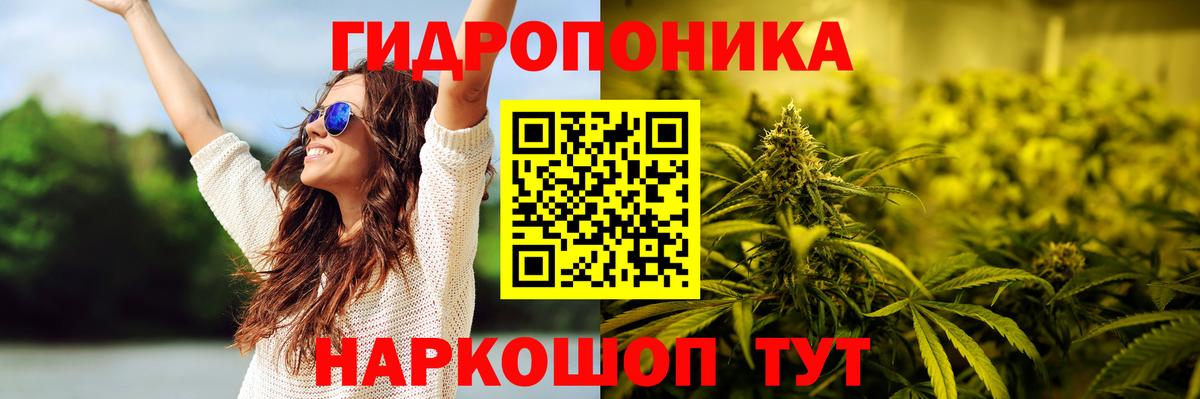 Шишки марихуана марихуана  Конопля Bruce Banner  Кизилюрт  Вход с VPN  Марихуана AK-47 